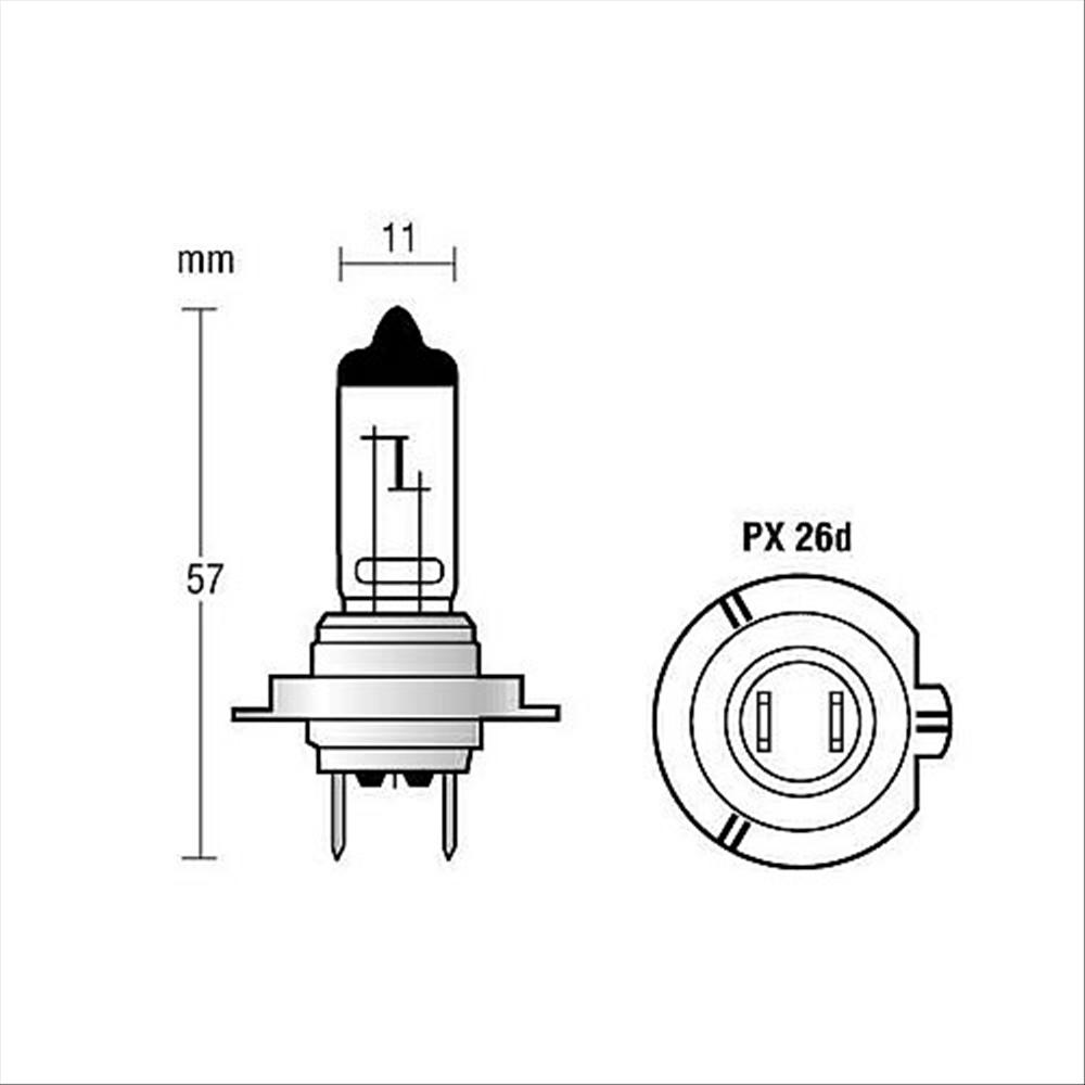 Lampada 12V H7 PX26d 55W, 1 pz.