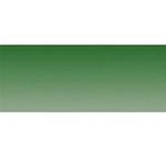 Pellicola parasole Chromo 150x20cm, Verde