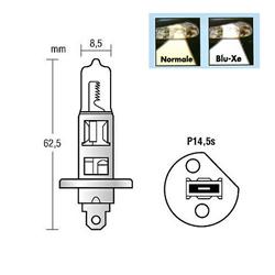 Lampada 12V H1 P14,5s 100W Blu-Xe, 2 pz.