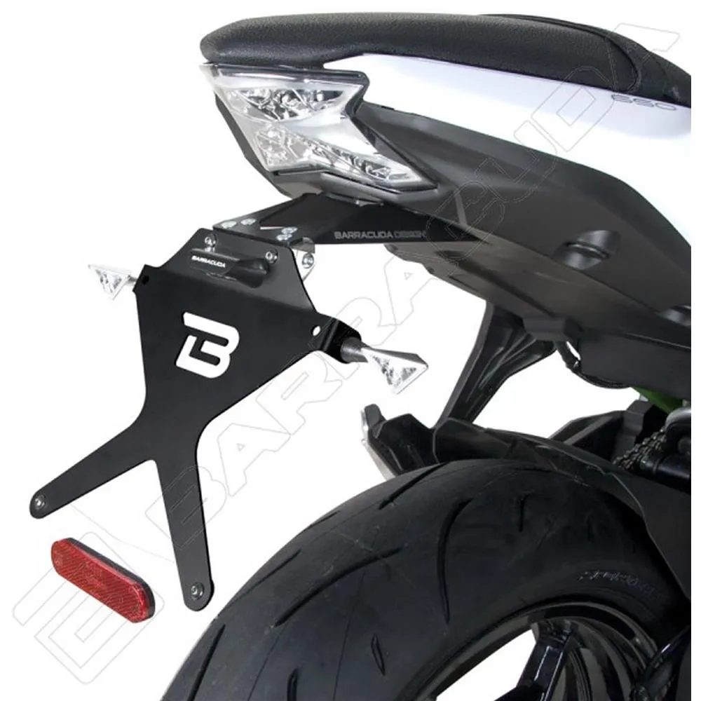 Portatarga Kawasaki Z650 (2017-2025) Ninja 650 (2017- ), Reclinabile